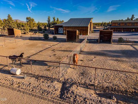 Tiny photo for 16470 SW Highway 126, Powell Butte, OR 97753 (MLS # 220224534)