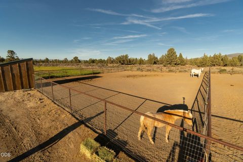 Tiny photo for 16470 SW Highway 126, Powell Butte, OR 97753 (MLS # 220224534)