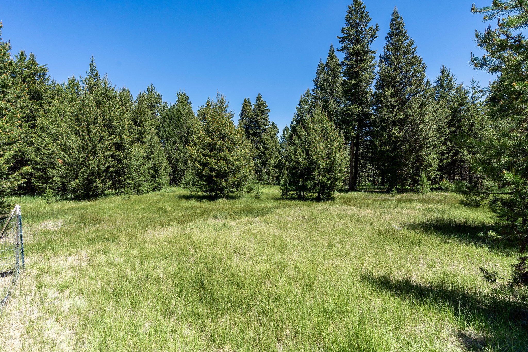 Roan Park - Residential