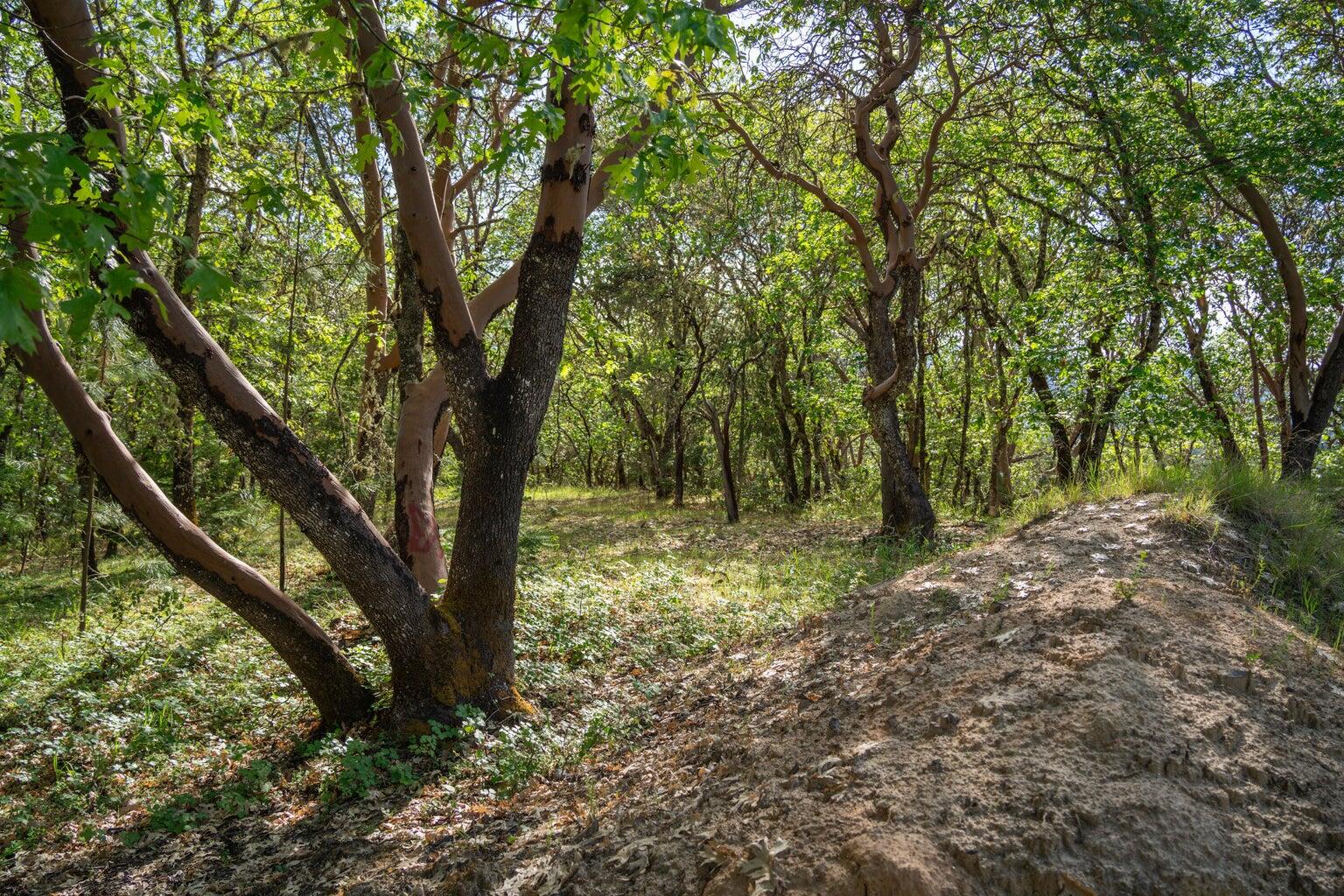 High Ridge Terrace Subdivision - Land