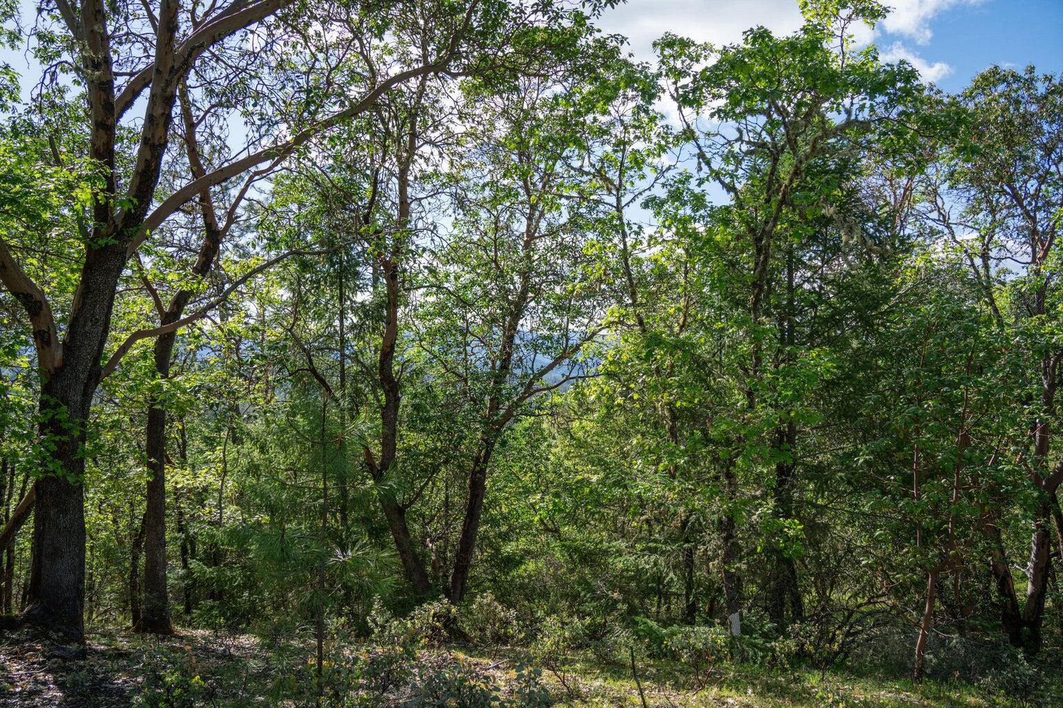 High Ridge Terrace Subdivision - Land