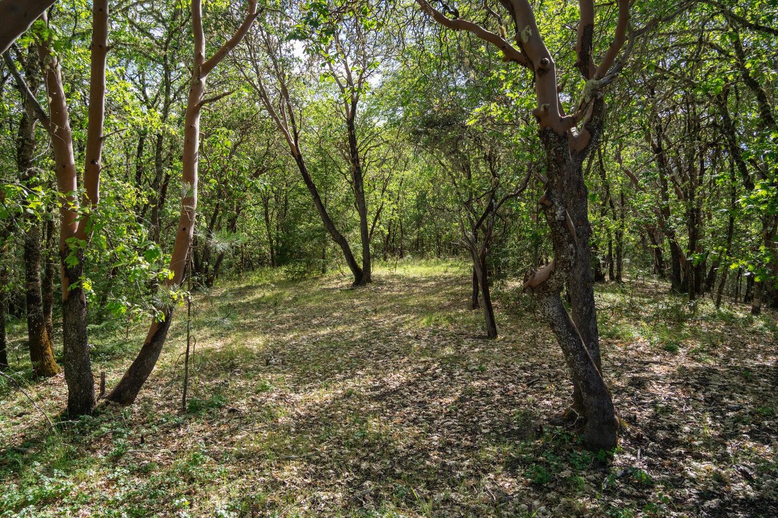 High Ridge Terrace Subdivision - Land