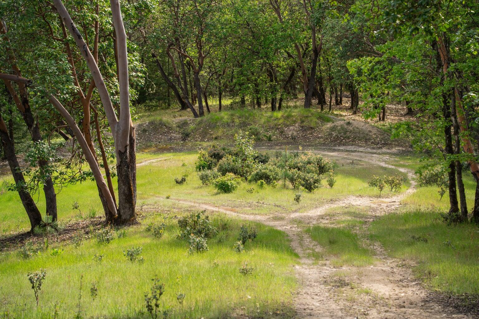 High Ridge Terrace Subdivision - Land