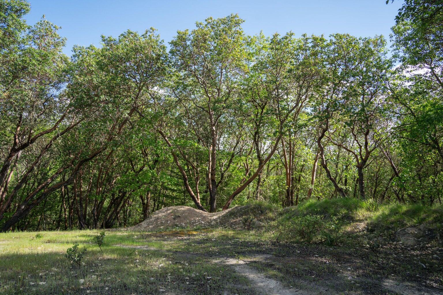 High Ridge Terrace Subdivision - Land