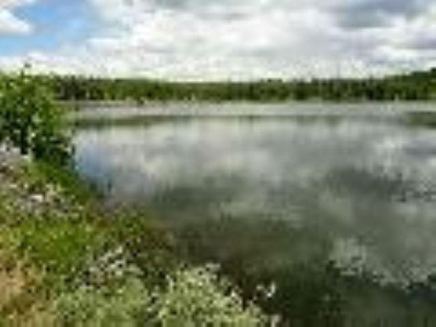 Highly Accesable, The 20 Acre Parcel Is Adjacent To 88 Acres Of Common Interest Property Along A Reservoir Packed With Fish. Ie Pictures Are Of Reservior. Call Listing Agent For Directions And Map.