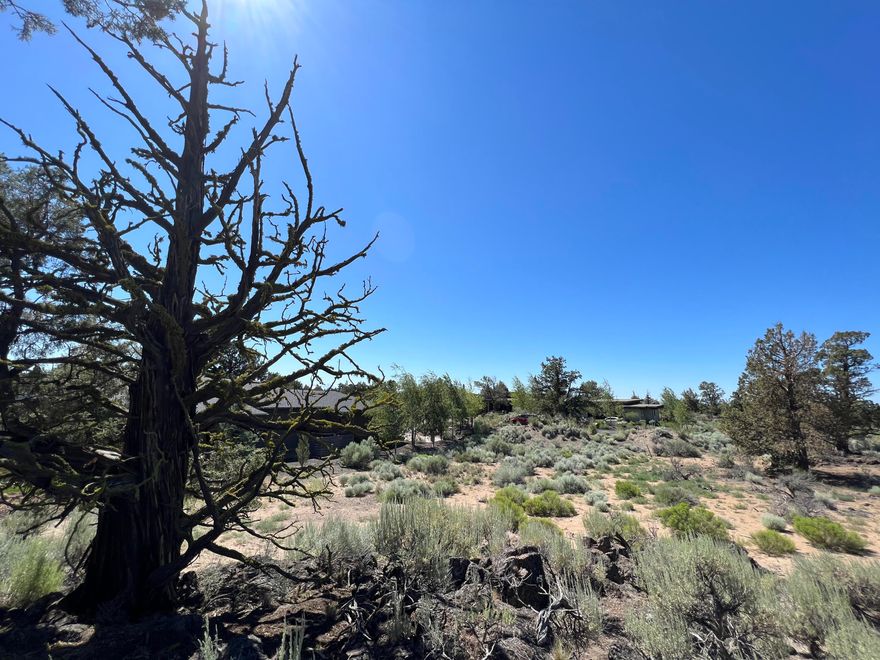 This Four Peaks lot is close to all the resort action AND allows smaller sq foot homes & nightly rental. Level lot #333 with a stunning ghost tree rock outcropping. This .24 acre lot backs to common area makes it feel like a much larger lot. Mountain peak and golf course views of both Tom Fazio 18th fairway and Jack Nicklaus 16th.  Privacy yet easy access to all the resort amenities just steps away. $35,000 toward Pronghorn Premiere Club membership included. Boasts TWO world class, international ranked in Top 100 resort golf courses, a food market, fitness/wellness spa facilities, Members lounge, 3+ restaurant options, hotel and nightly stay facilities, Pickle Ball and other courts.  Adventure options, airport and snow resort shuttle + so much more!  BLM lands surround and irrigation canal for endless mountain bike or hiking. Approved builders readily available.  Owner is a licensed real estate agent in Oregon.