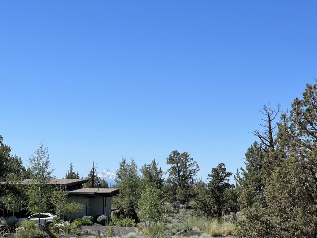 22957 Ghost Tree Lane #333