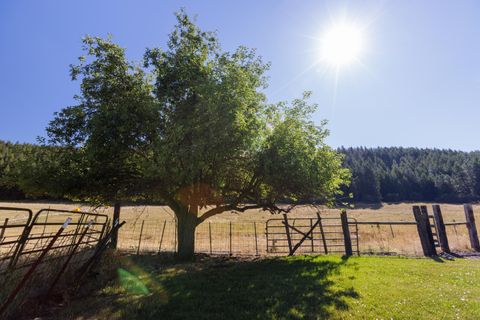 Tiny photo for 59926 Comstock Road, Cove, OR 97824 (MLS # 220209705)