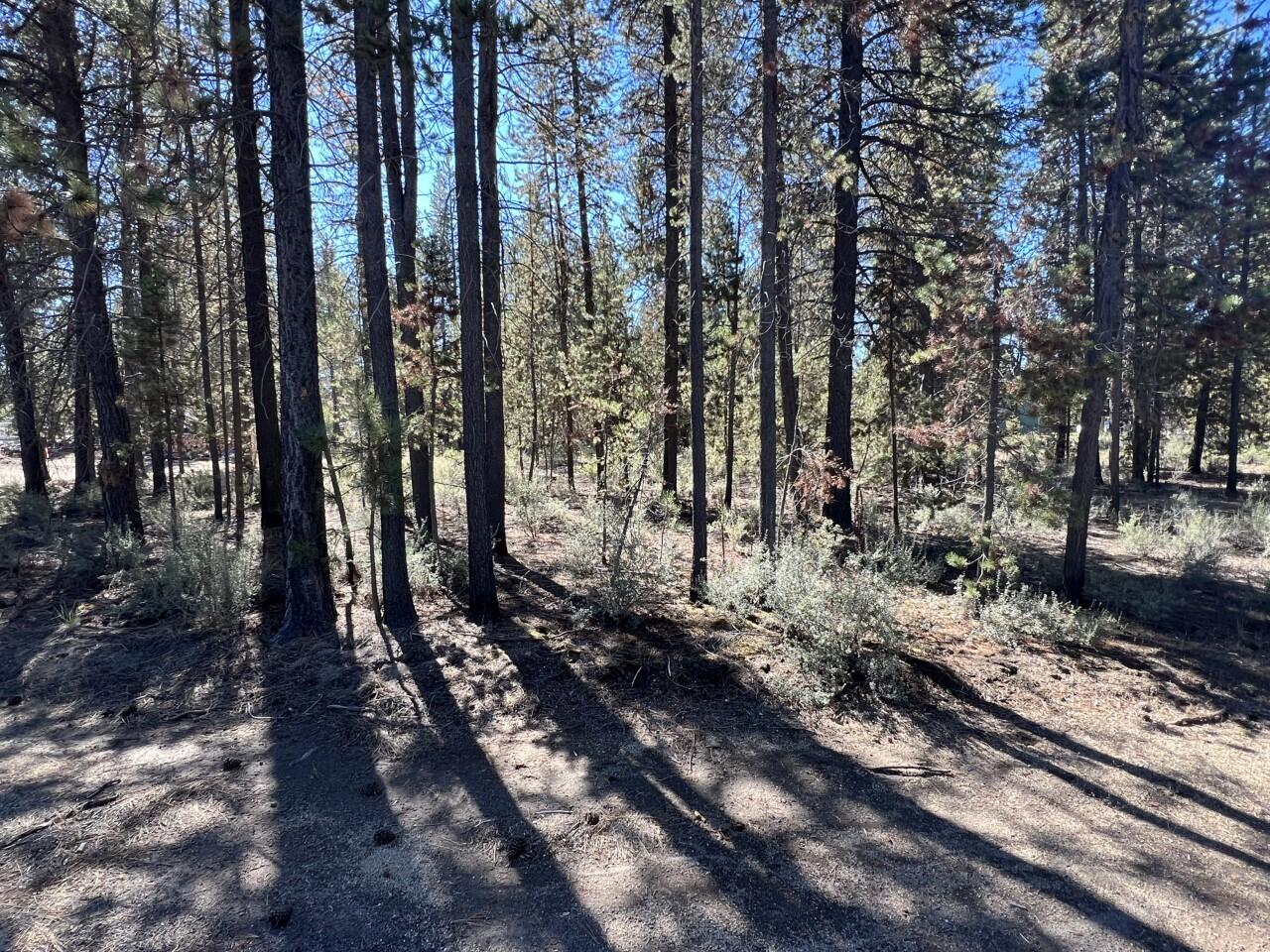 Jack Pine Village - Land