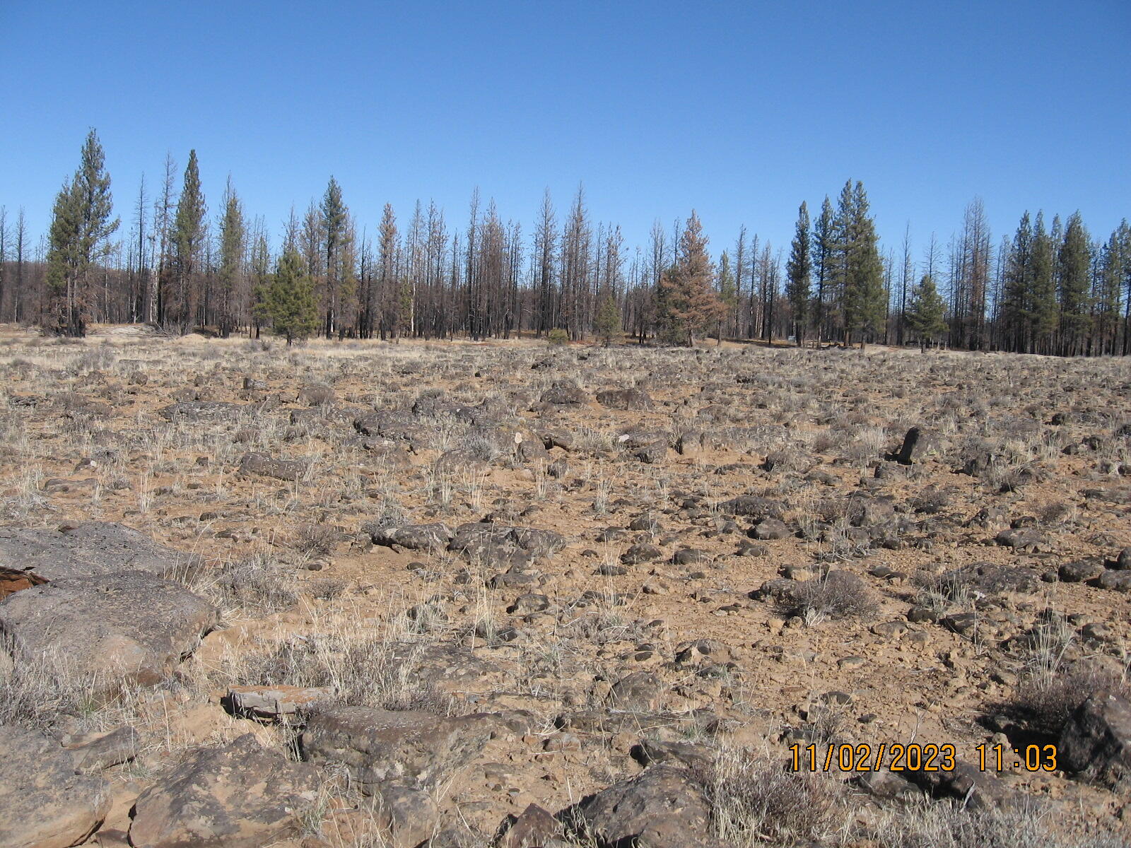 Klamath Falls Forest Estates -Sycan Unit - Land