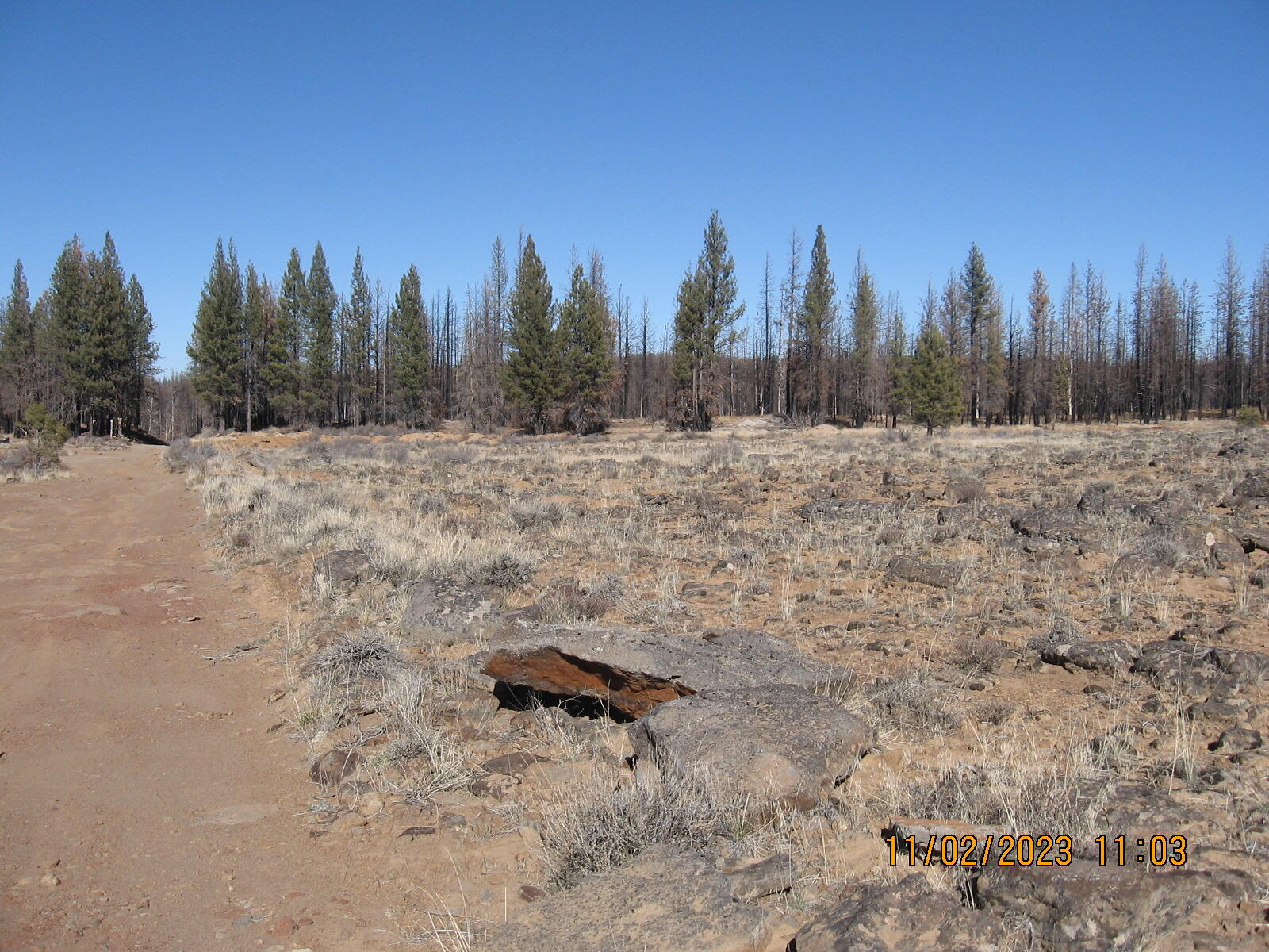 Klamath Falls Forest Estates -Sycan Unit - Land
