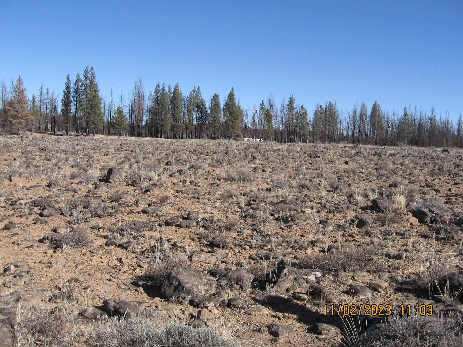 Klamath Falls Forest Estates -Sycan Unit - Land