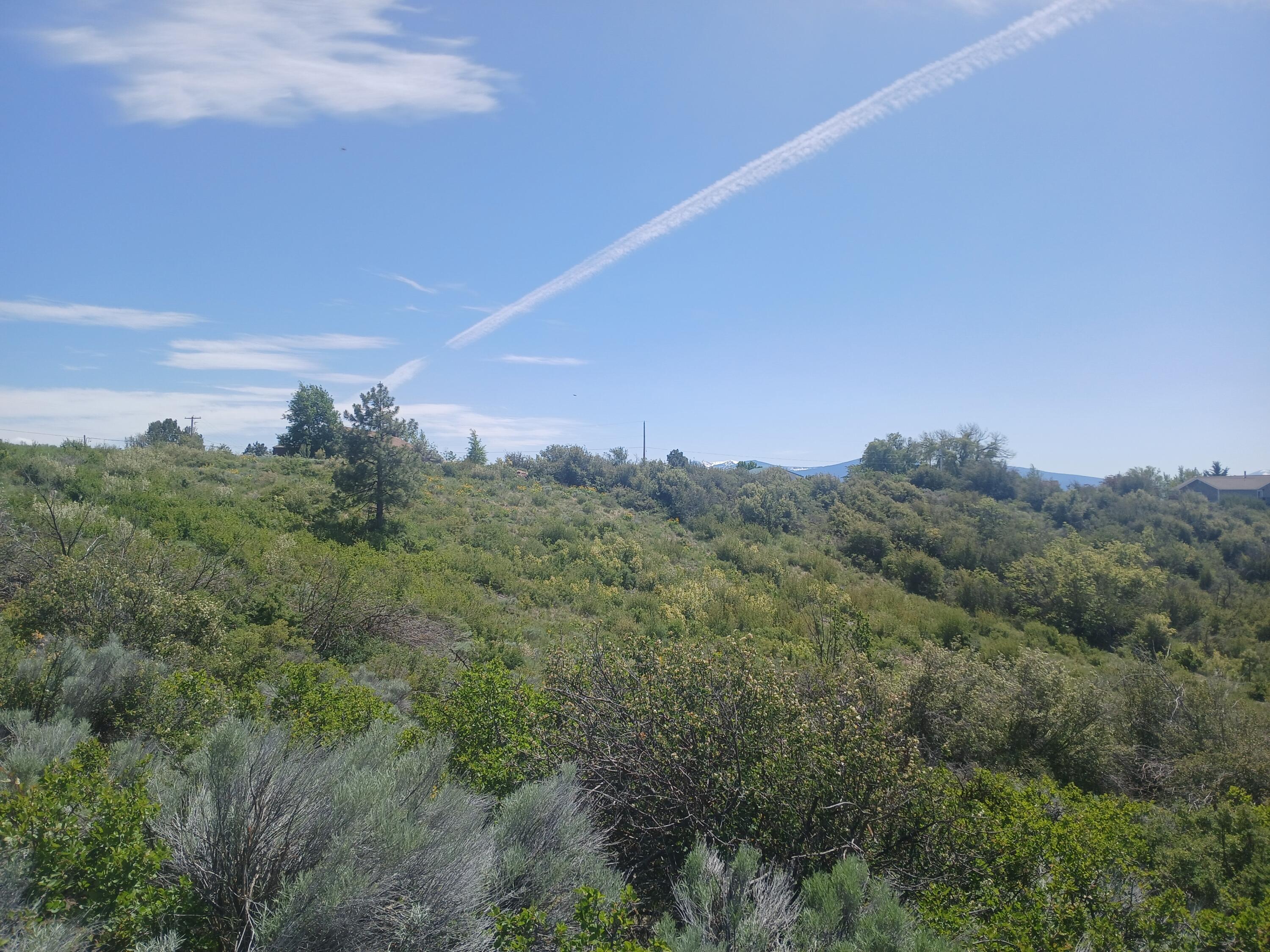 Oregon Shores - Land