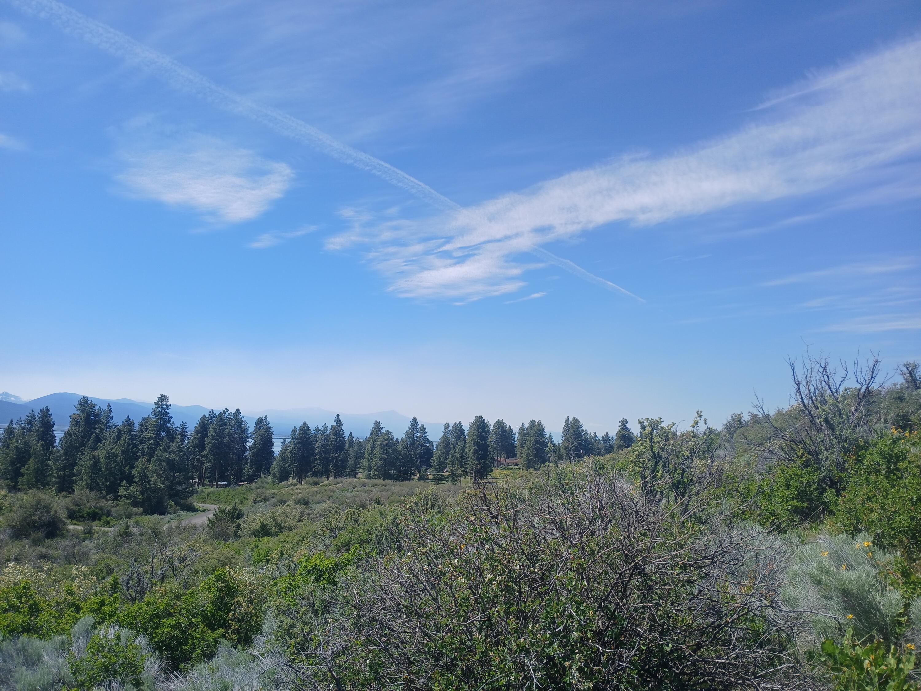 Oregon Shores - Land