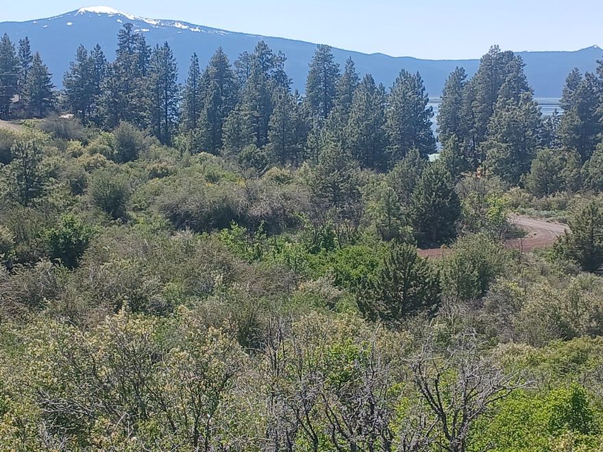 Nice large gently sloping lot w/breathtaking views of the Cascade Mountains & Agency Lake. HOA amenities include road maintenance/snow removal, domestic water supply, & exclusive use of the 17 acre lakeside recreation area/campground. Located in Klamath County which offers unlimited recreational opportunities, close to Klamoya Casino & the Wood & Williamson rivers. Only 30 minutes from Crater Lake National Park & Klamath Falls.