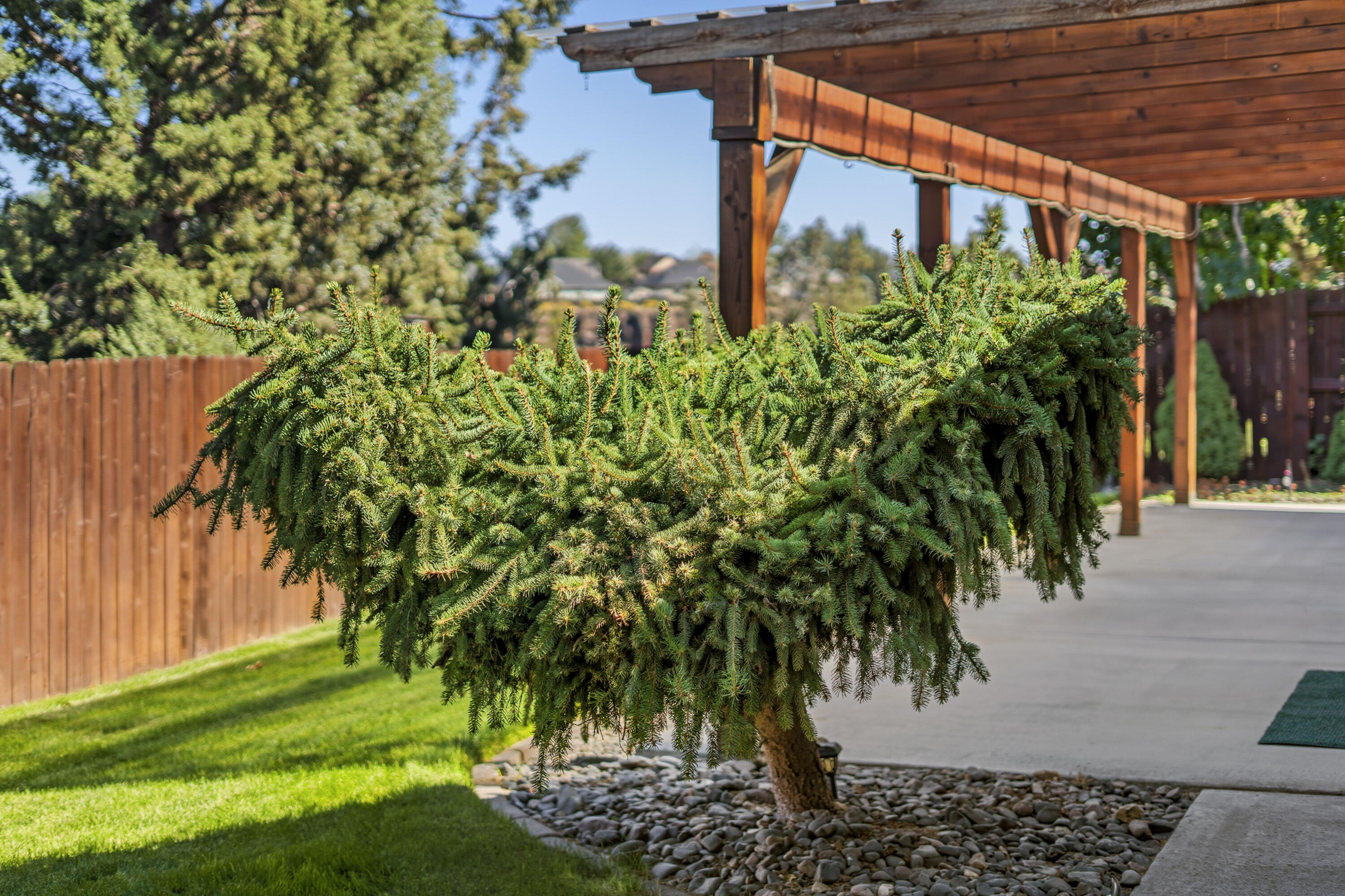 Echo Rim Estates - Residential