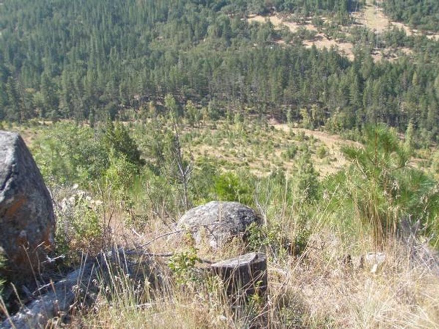 158 acres in Southern Oregon. Prime hunting ground for Blacktail deer, elk and wild turkey. Property borders BLM on two sides.