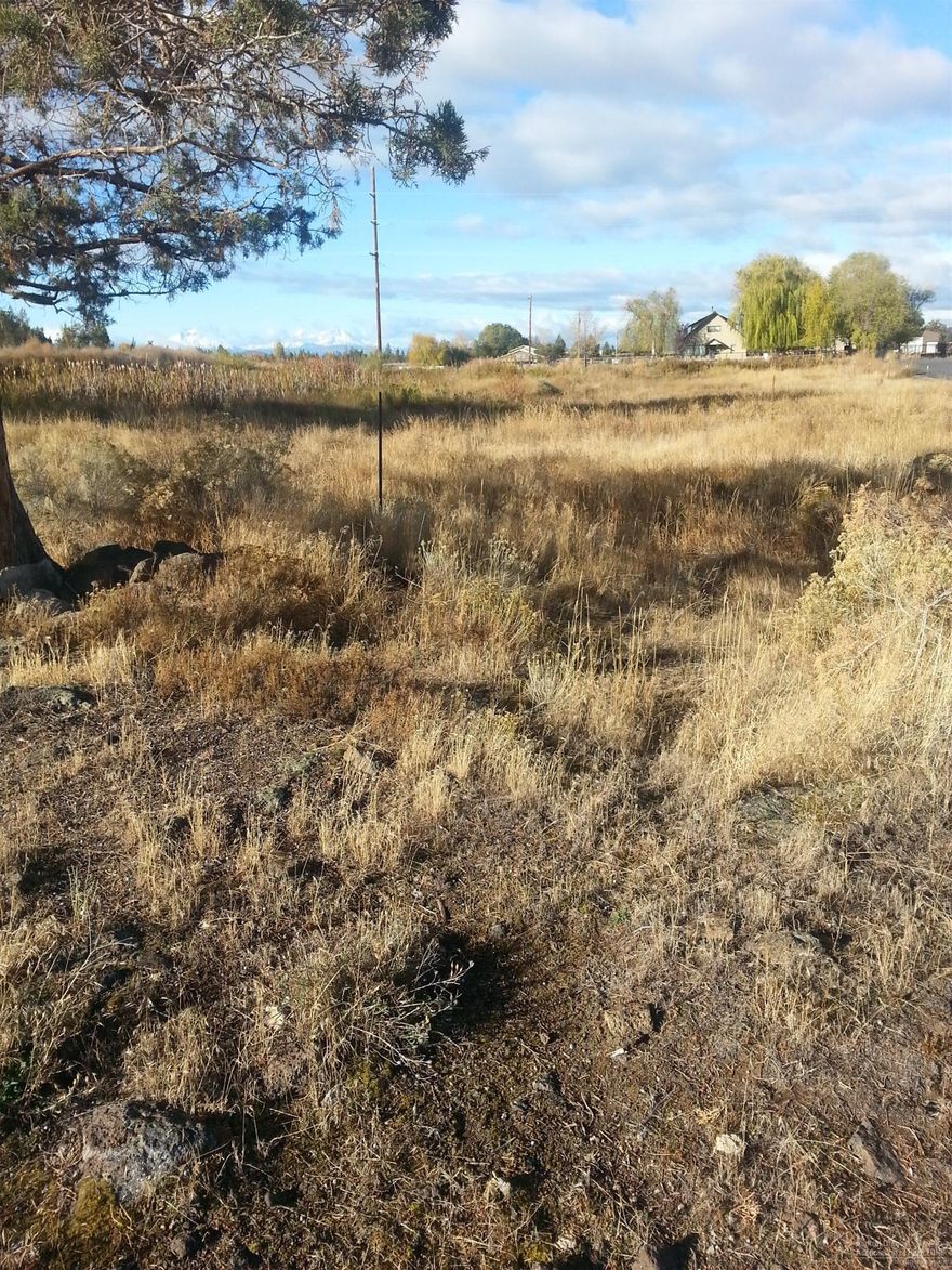 Buy one or buy them all. 48 lots in town ready to build on.