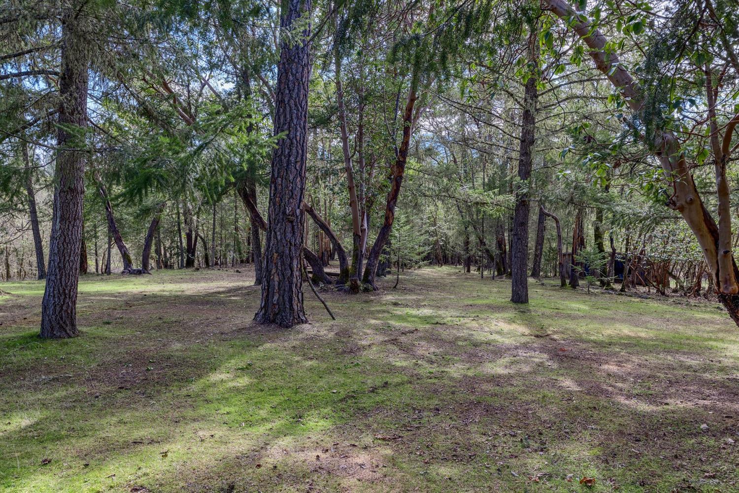 Springbrook Subdivision - Residential