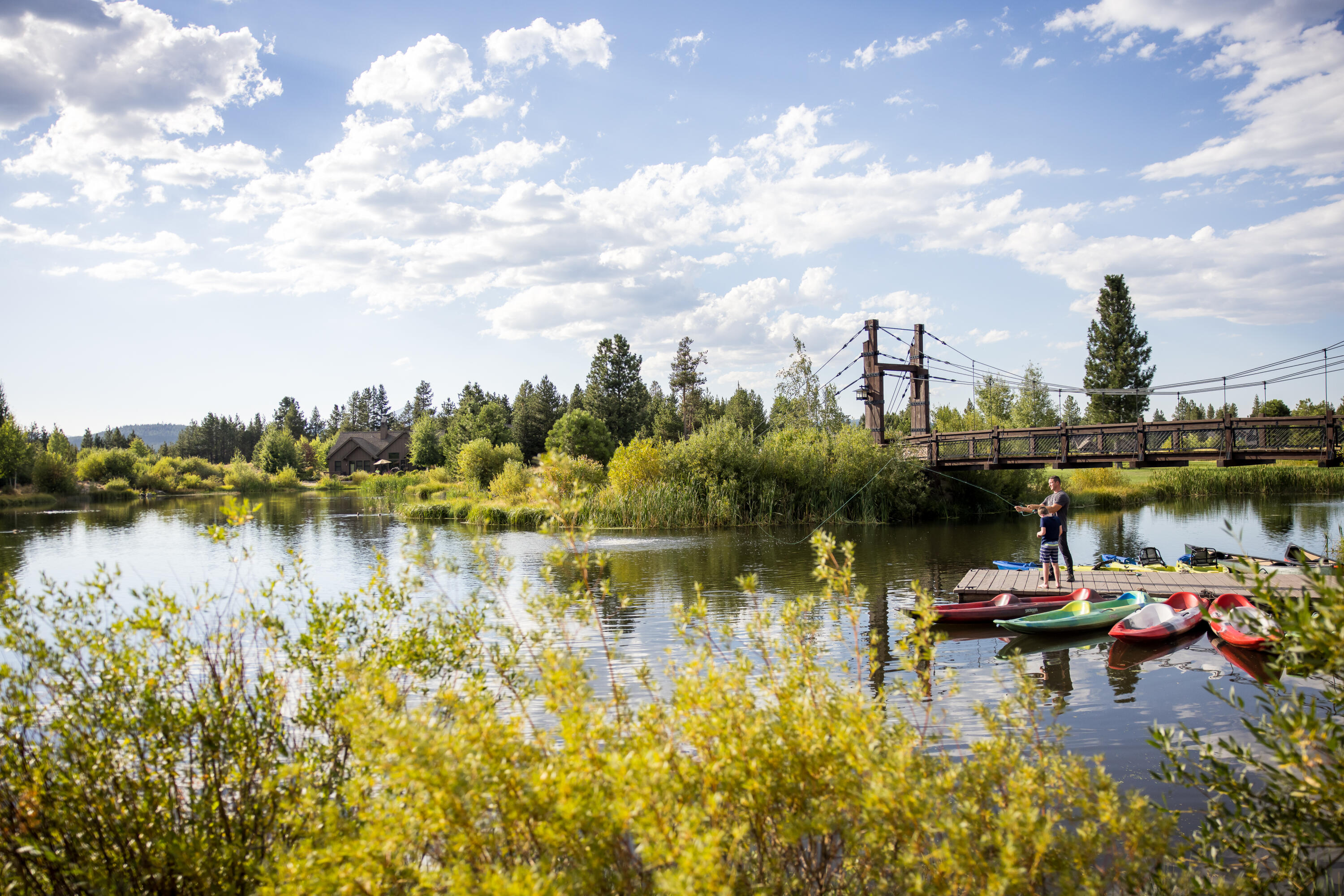 17812 Preservation Loop 491