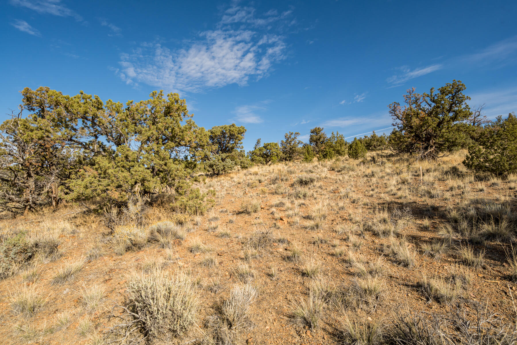 Brasada Ranch - Land