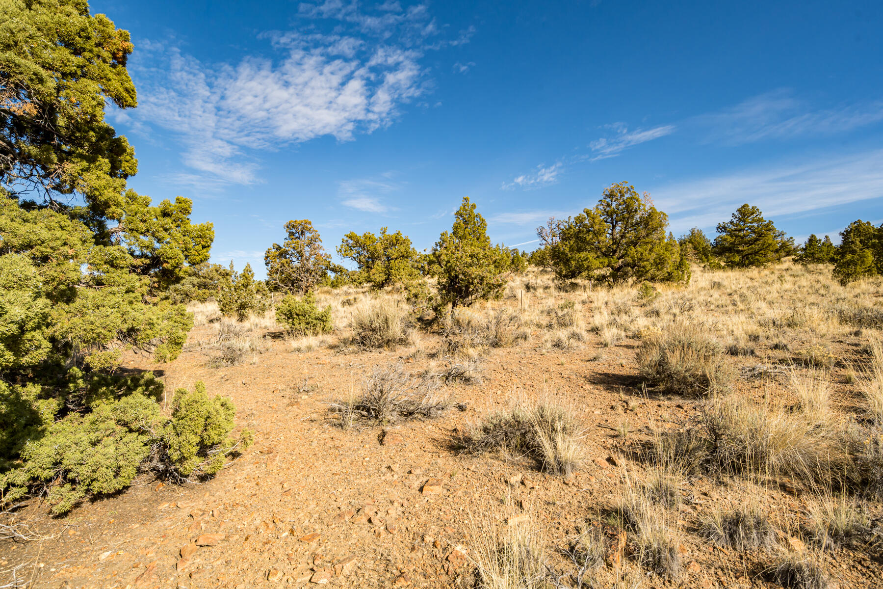 Brasada Ranch - Land