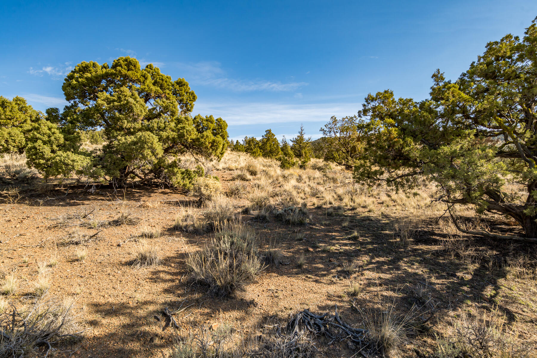 Brasada Ranch - Land