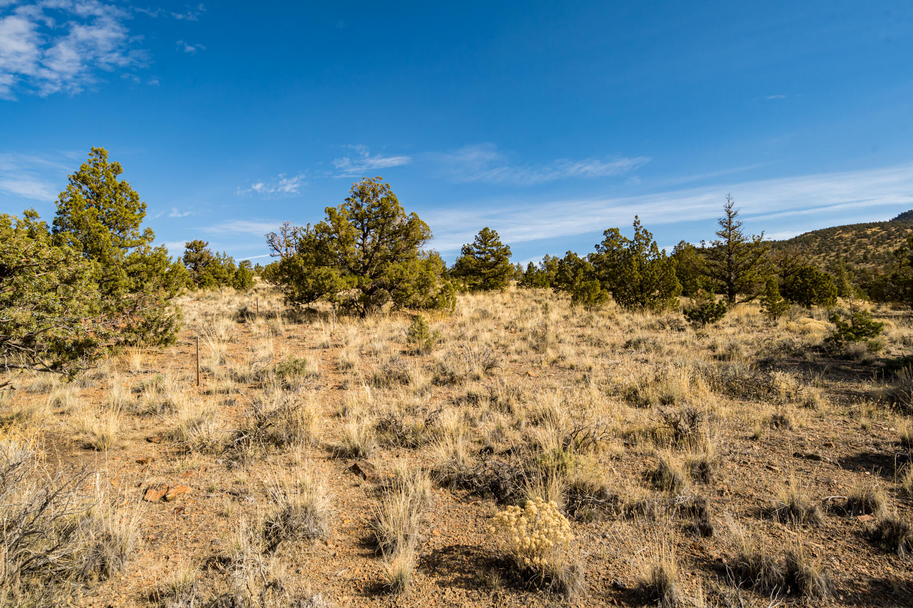 Brasada Ranch - Land