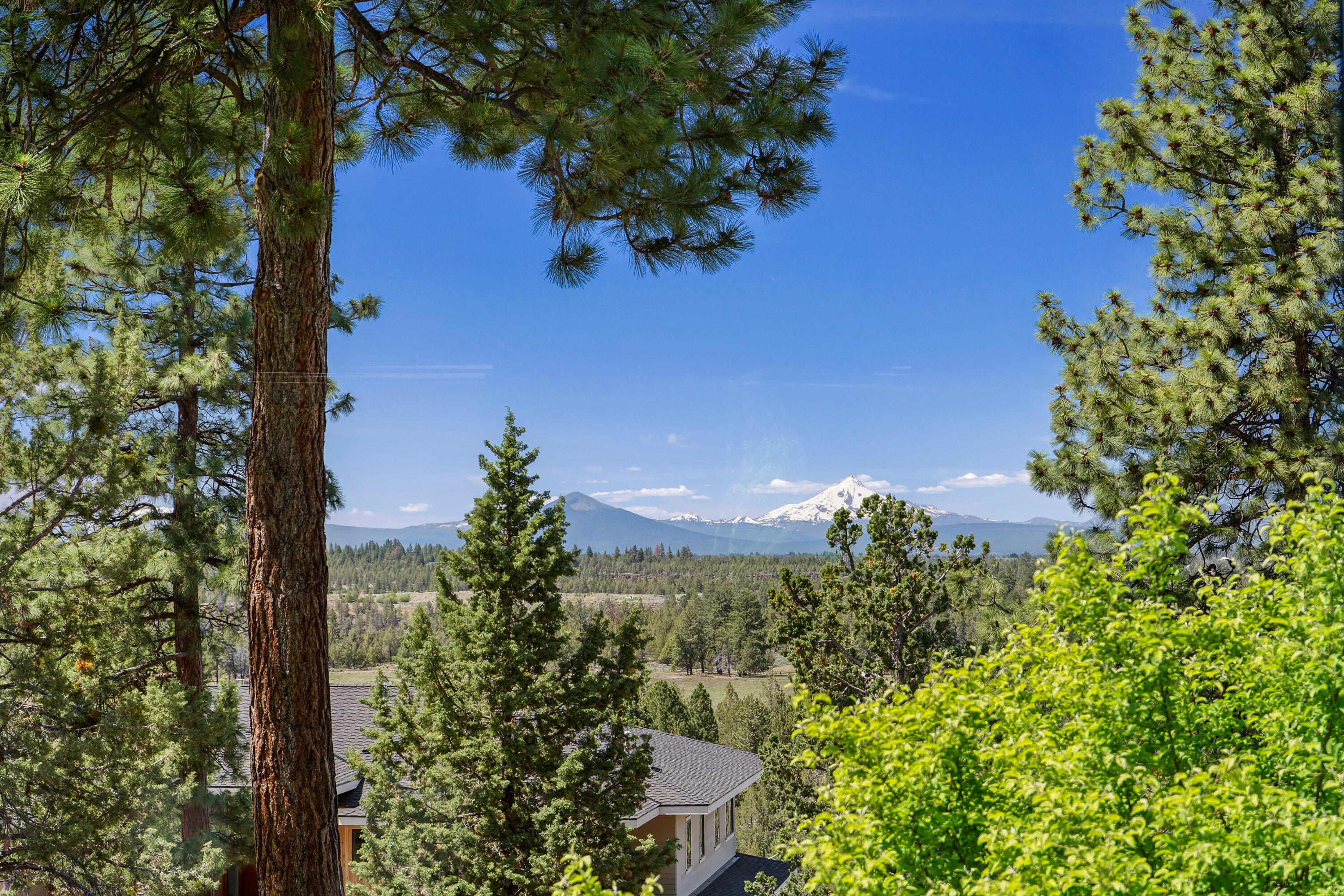 Wyndemere - Residential