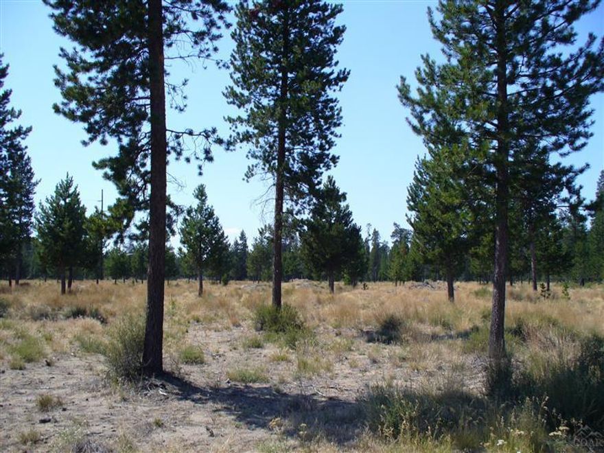 The lots are ready to build, with sewer, water and electric available. Paved streets, with curb and gutter. With the future growth of LaPine and the low cost housing that is available, this is an excellent opportunity to start and build your business with the low cost of the three lots totaling 1.29 acres. (The three lots to be sold as one). The area close to LaPine has many mountain lakes for fishing and camping, skiing at Mt. Bachelor.Lots located east of HWY. 97, off of Reed Rd.Right on Hinkle to Box