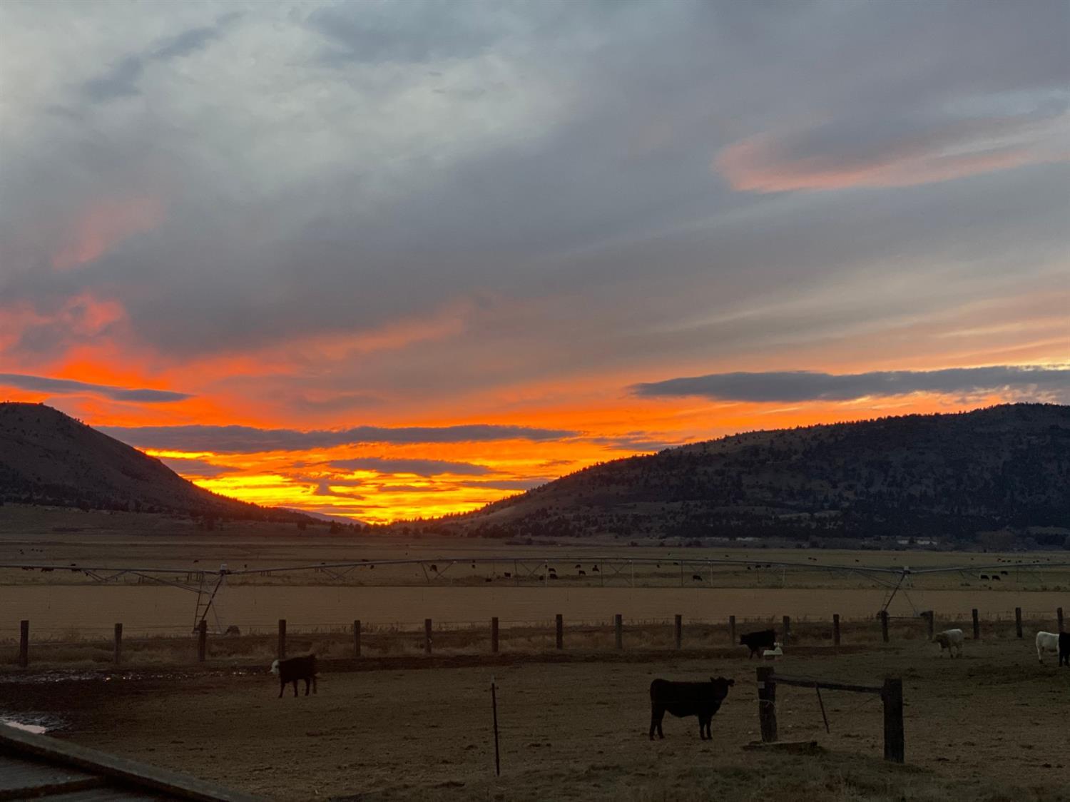 Klamath Falls -South - Land