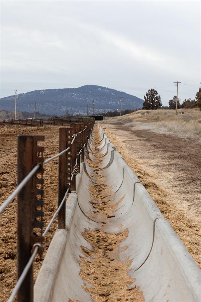 Klamath Falls -South - Land