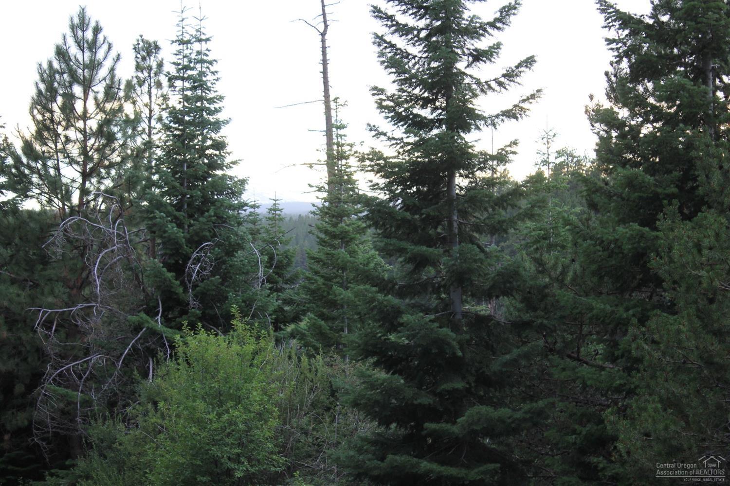 Deschutes RiverWoods - Land