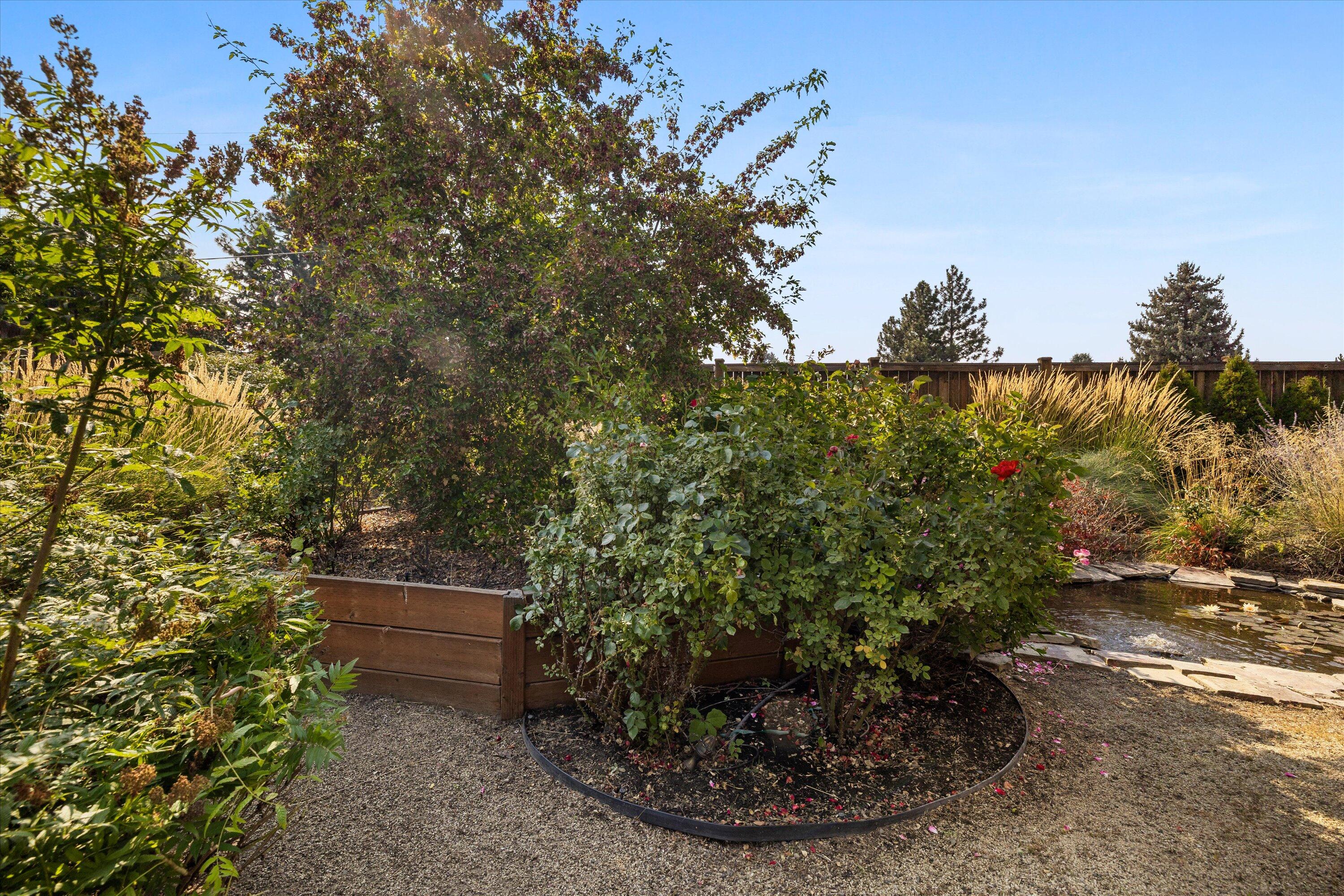 Pettigrew Place - Residential