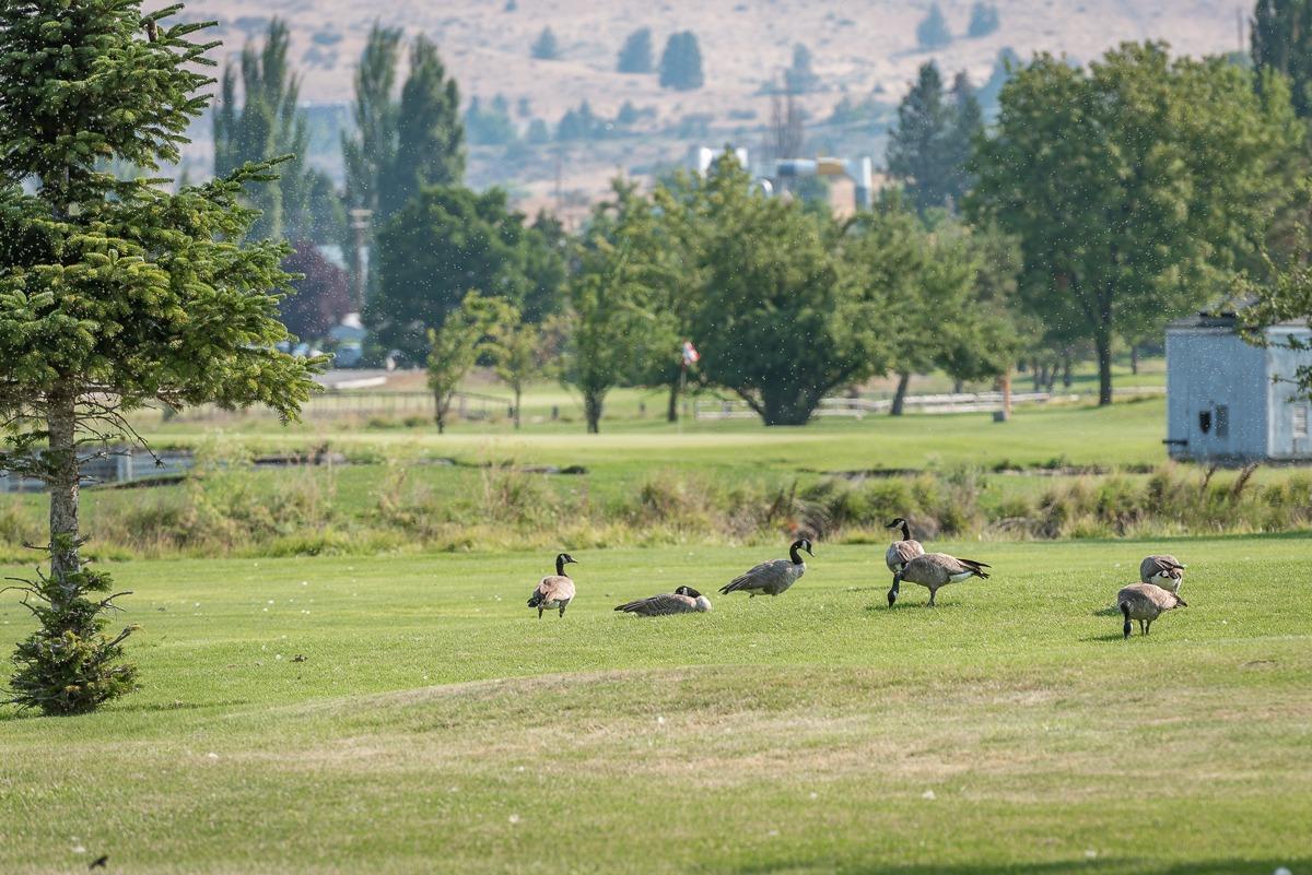 Harbor Isles - Residential