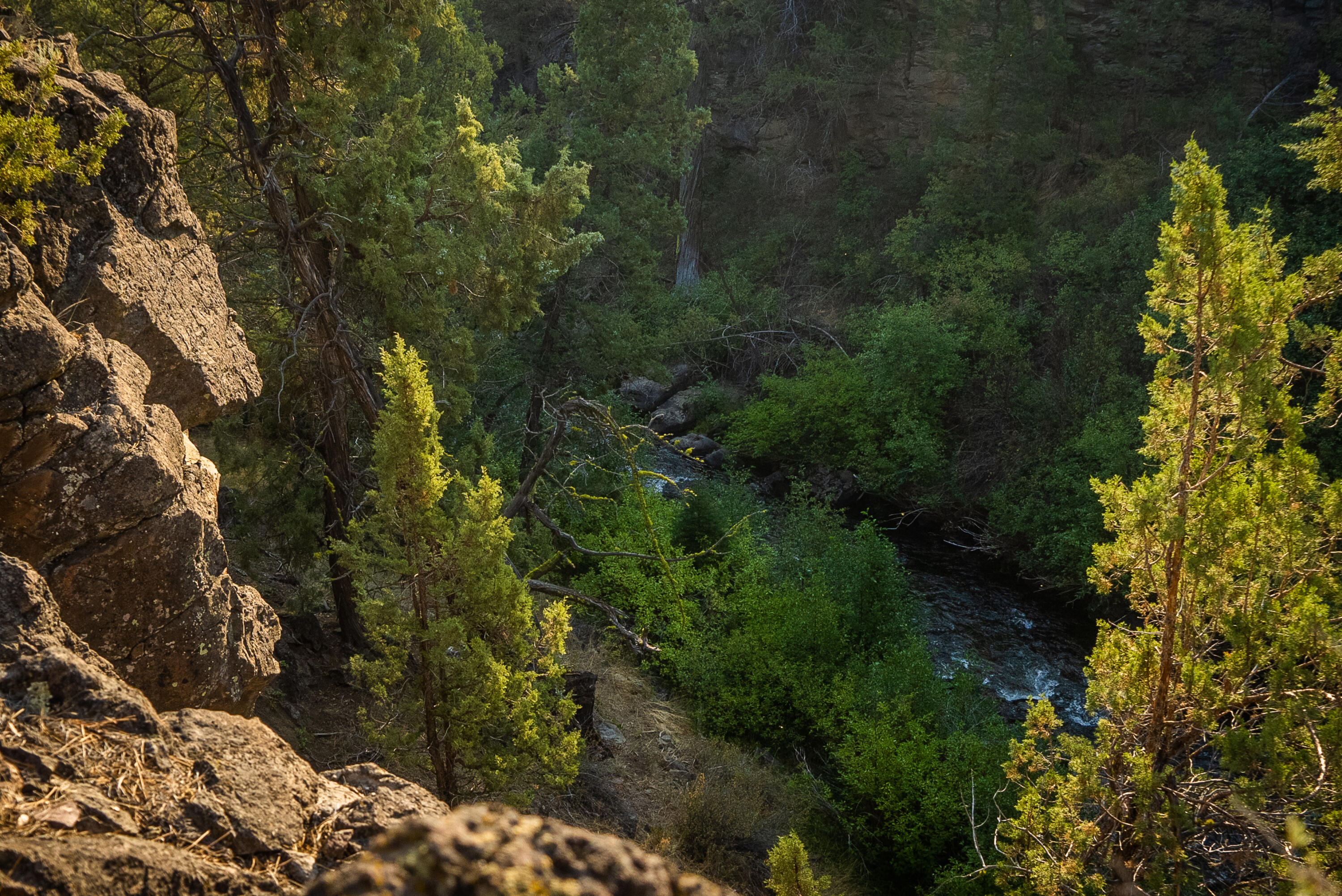 Lakes At Tanager PUD - Land