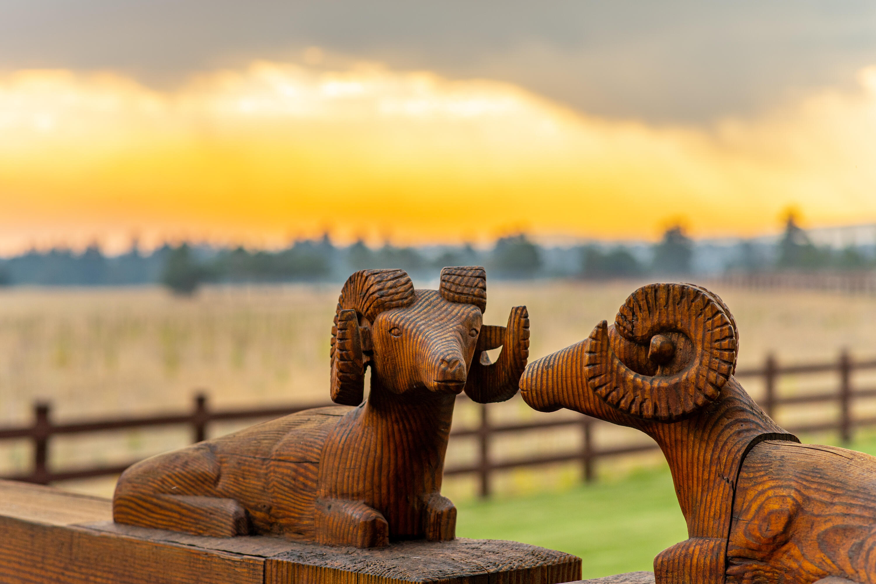 Lakes At Tanager PUD - Land