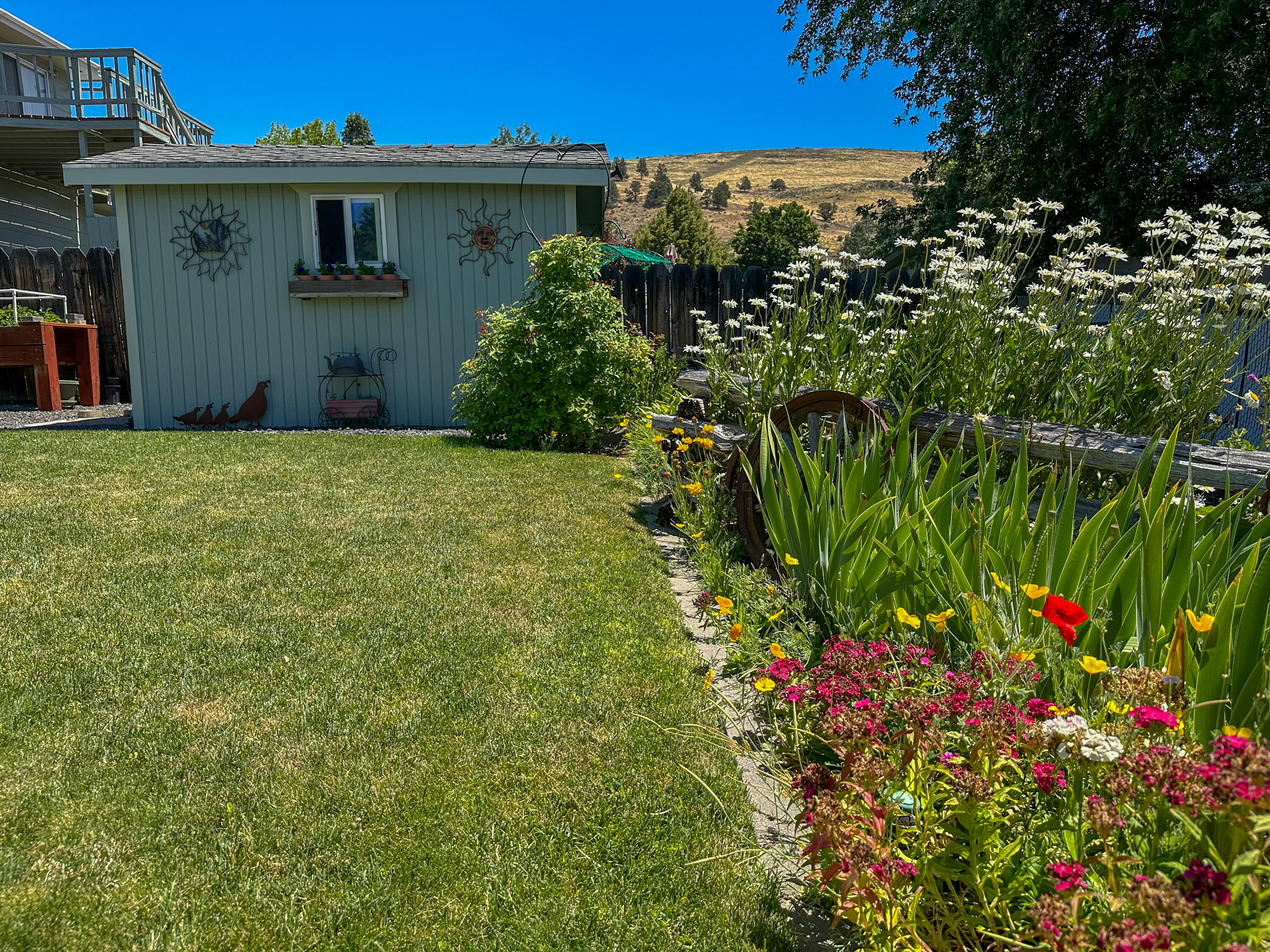 Moyina - Residential