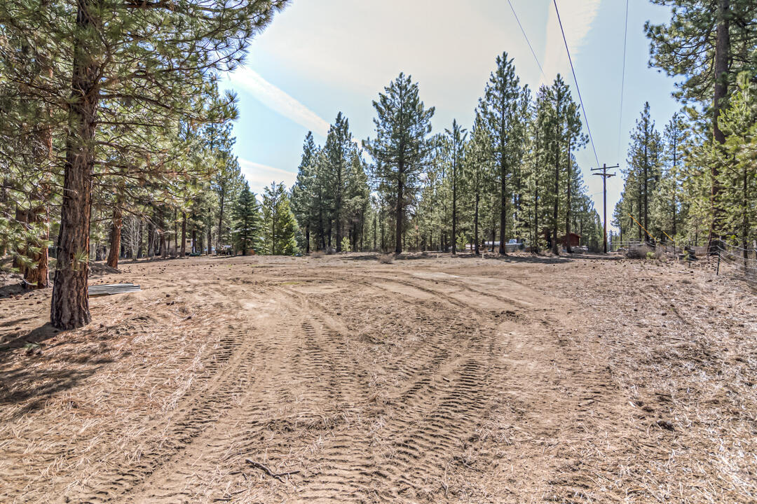 Ponderosa Pines East - Residential