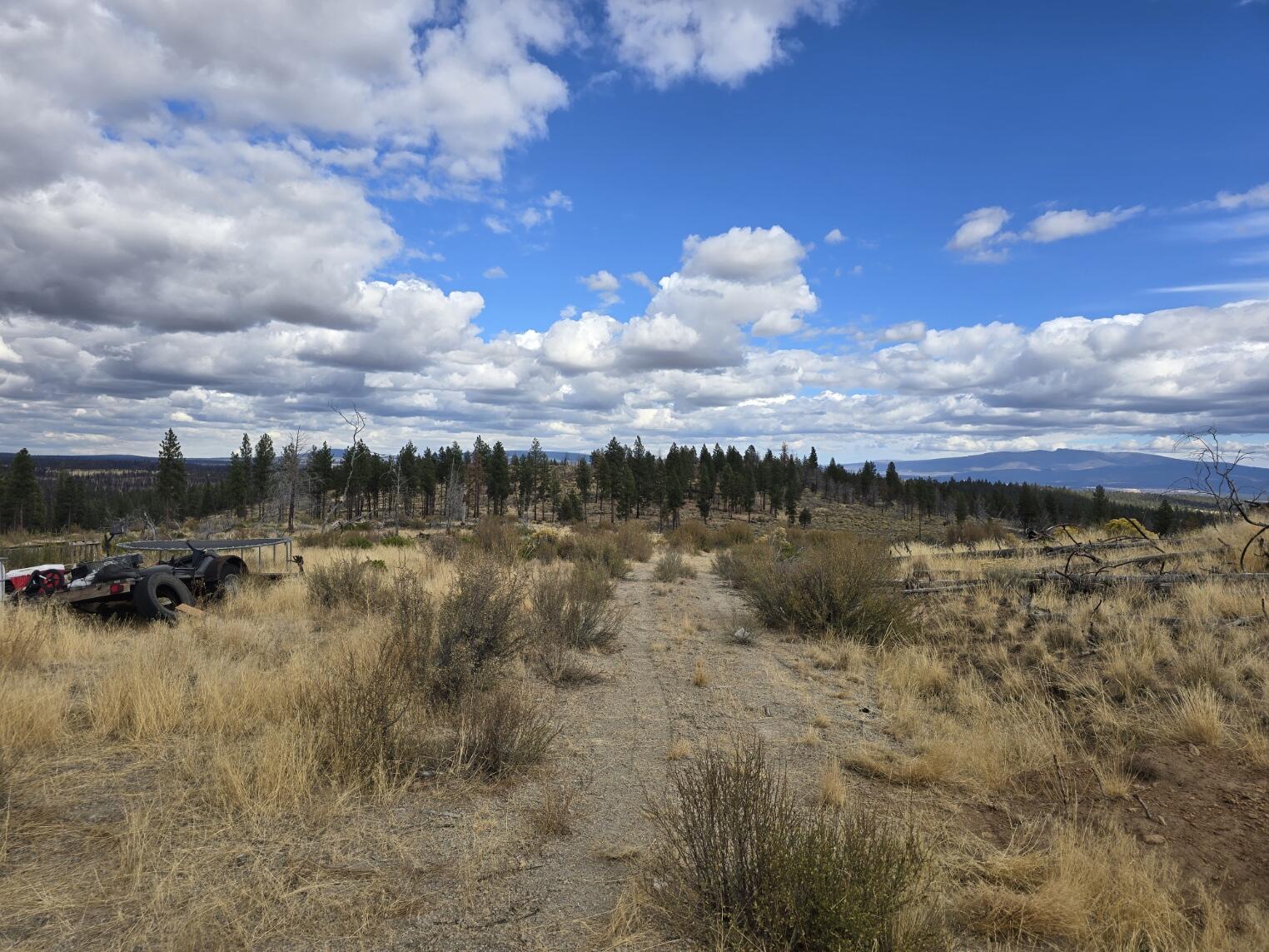 Ferguson Mountain Pines - Land
