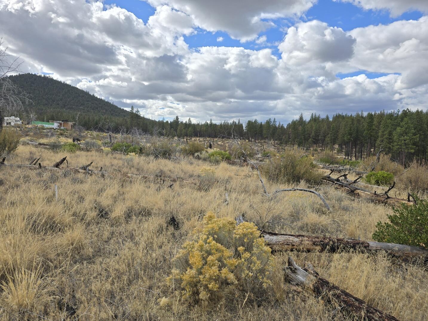 Ferguson Mountain Pines - Land