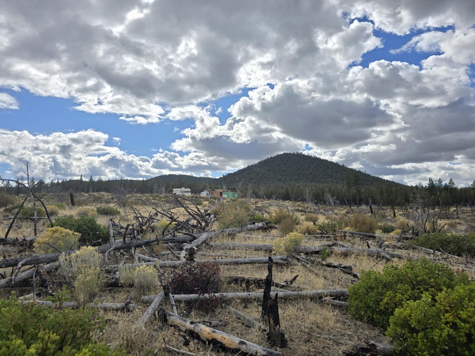 Ferguson Mountain Pines - Land