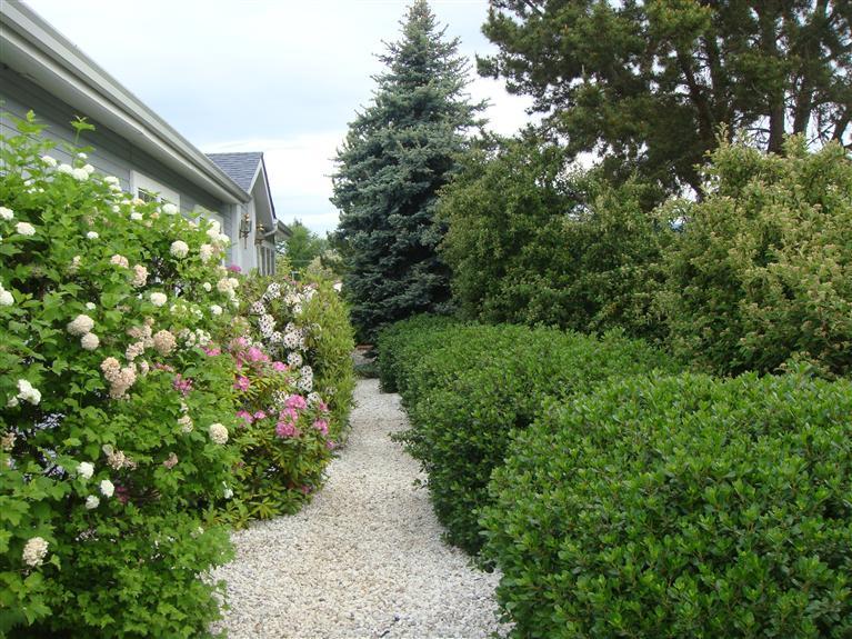 Willow Estates - Residential