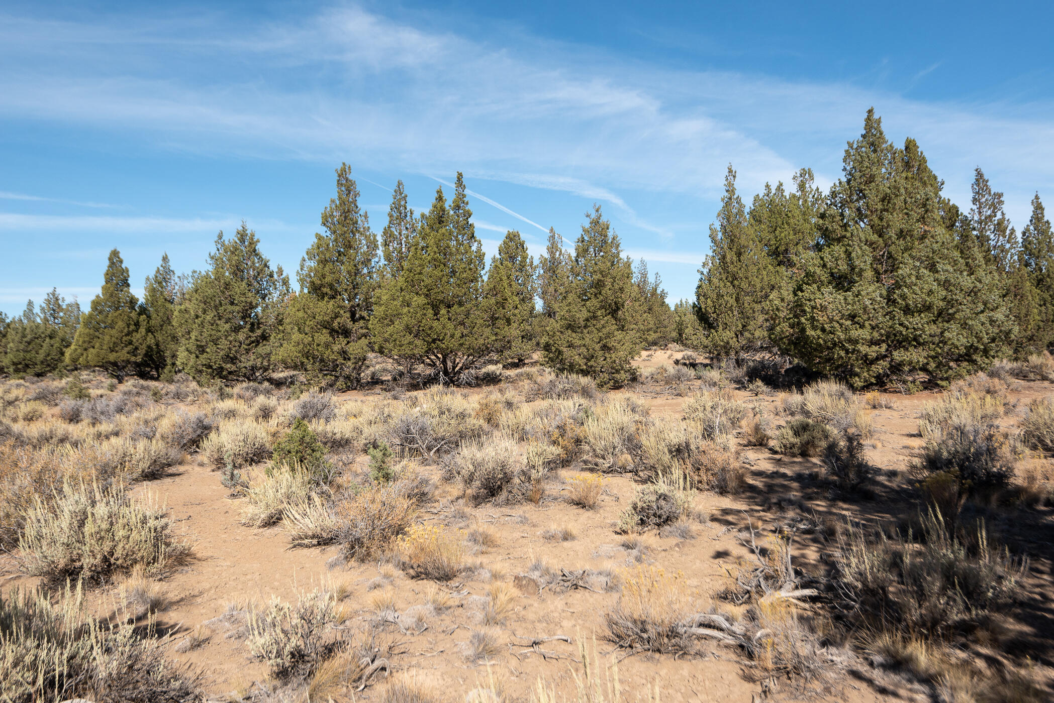 Big Sky - Residential