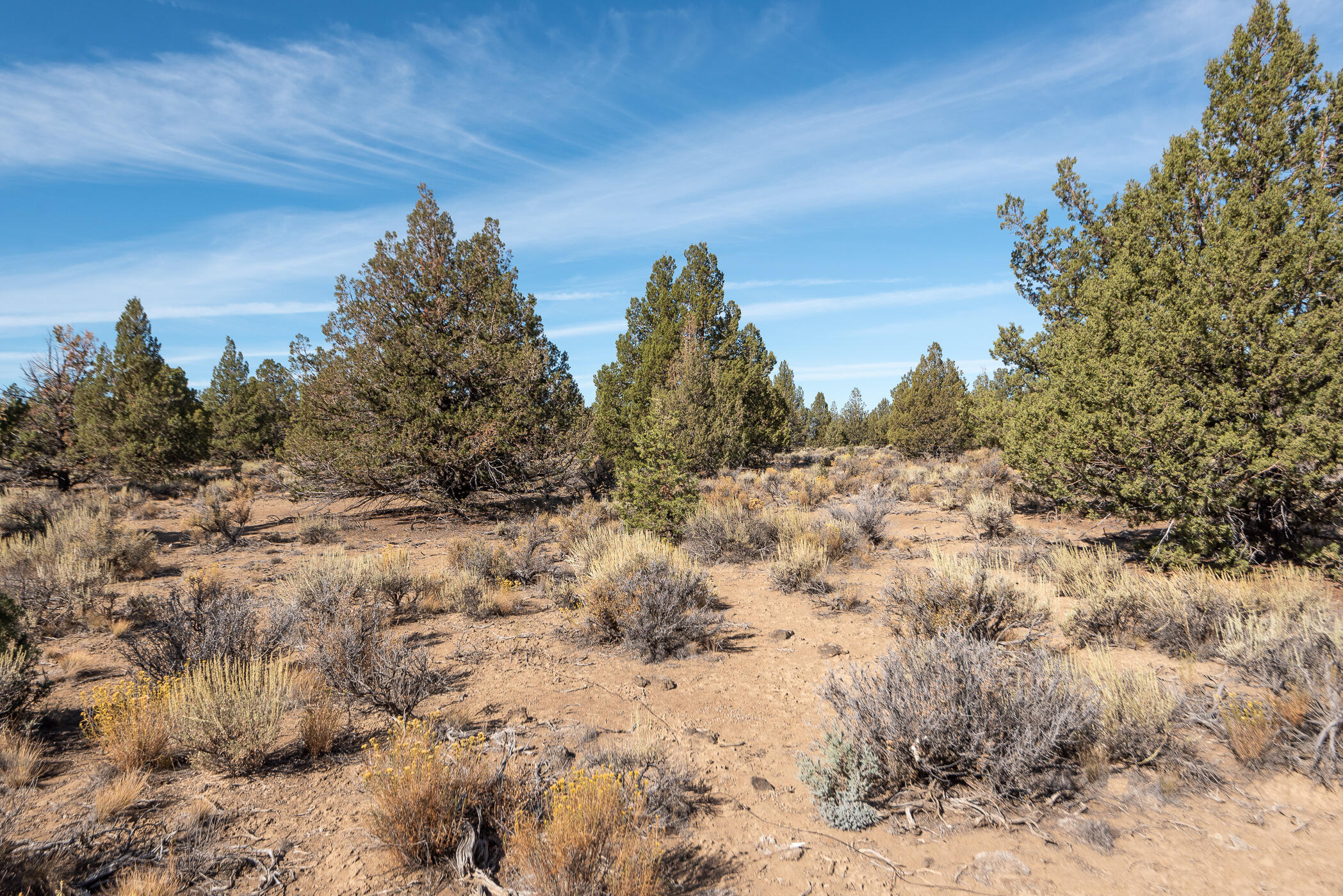 Big Sky - Residential