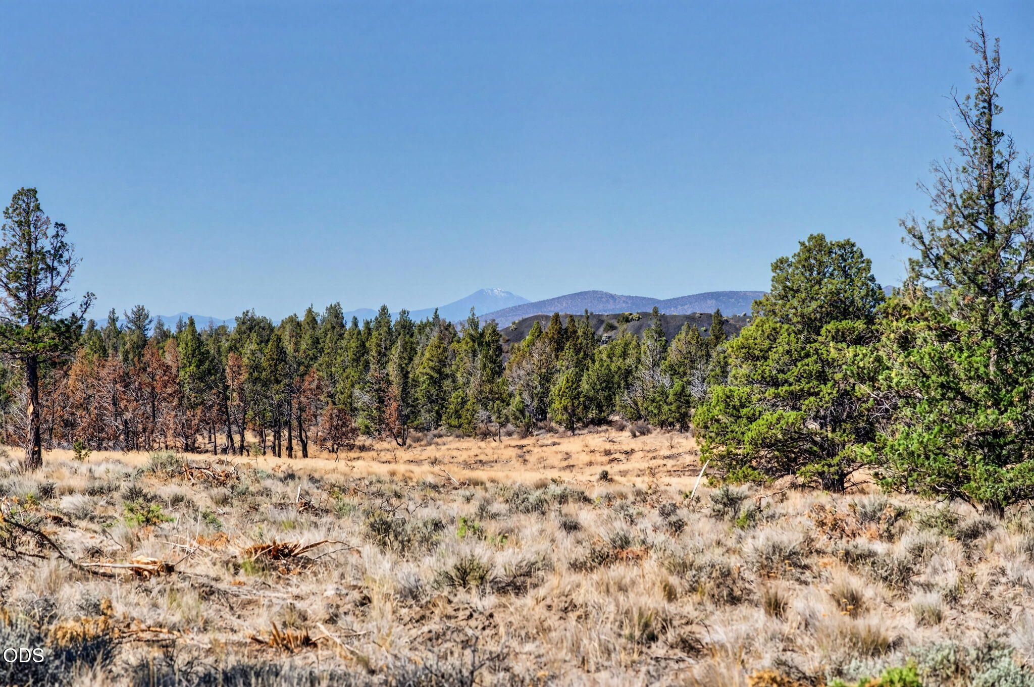 SE Laredo Road Lot 137