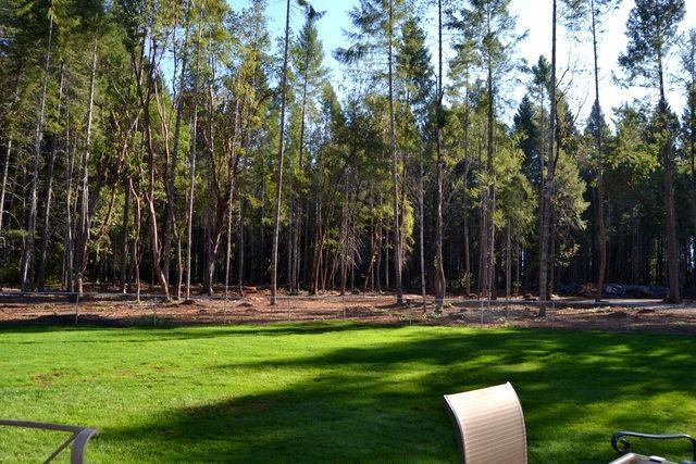 Idlewild Subdivision - Residential