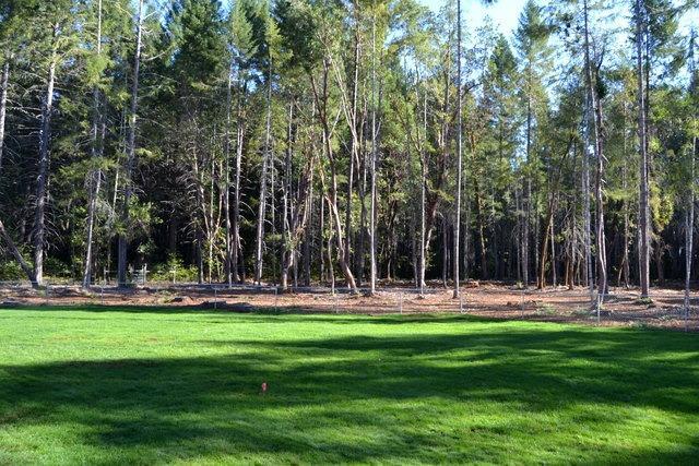 Idlewild Subdivision - Residential