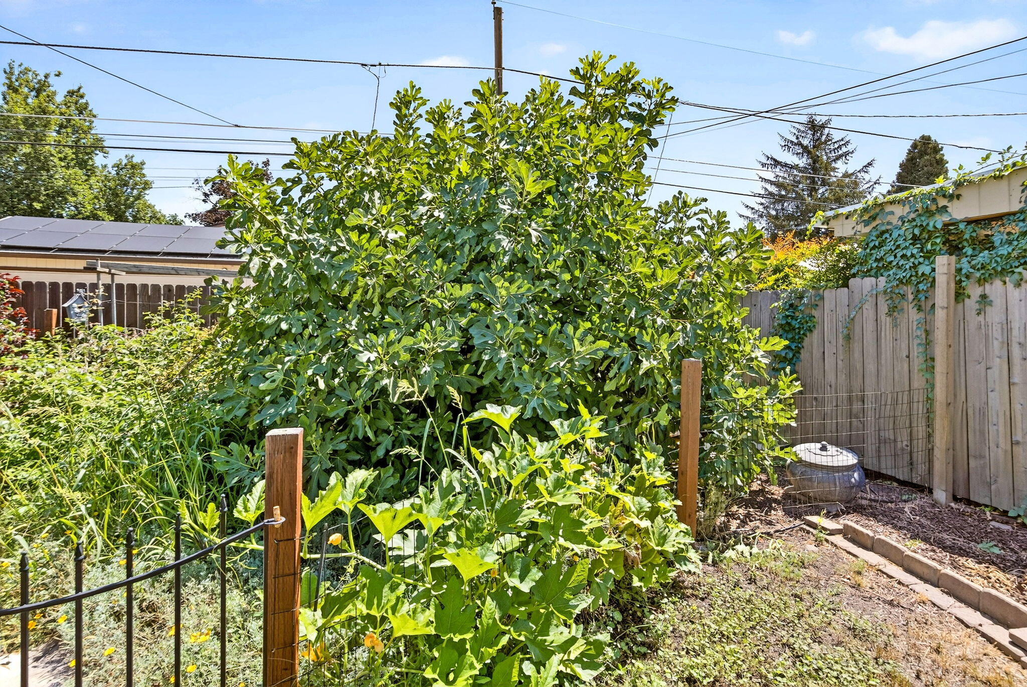 Dimmitt Addition No 1 - Residential