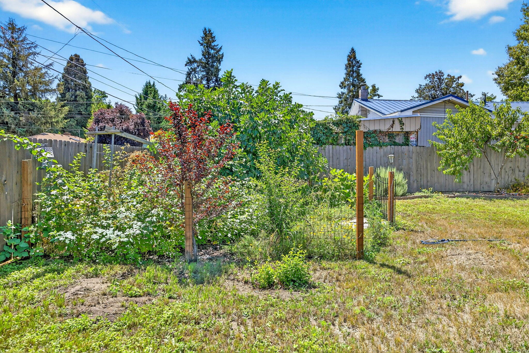 Dimmitt Addition No 1 - Residential